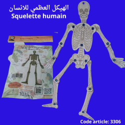 Squelette humain 5.900 dt